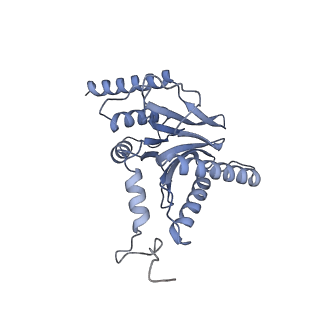 32281_7w3i_i_v1-1
Structure of USP14-bound human 26S proteasome in substrate-inhibited state SB_USP14