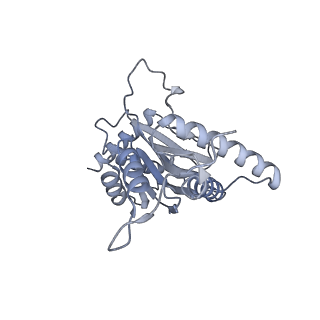 32281_7w3i_j_v1-1
Structure of USP14-bound human 26S proteasome in substrate-inhibited state SB_USP14