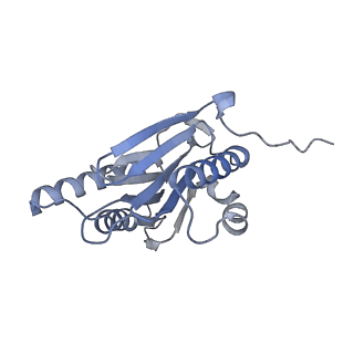 32281_7w3i_n_v1-1
Structure of USP14-bound human 26S proteasome in substrate-inhibited state SB_USP14