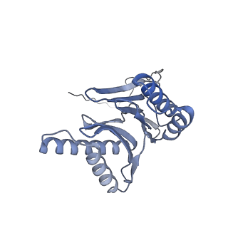 32281_7w3i_o_v1-1
Structure of USP14-bound human 26S proteasome in substrate-inhibited state SB_USP14