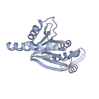 32281_7w3i_r_v1-1
Structure of USP14-bound human 26S proteasome in substrate-inhibited state SB_USP14