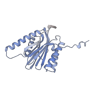 32281_7w3i_t_v1-1
Structure of USP14-bound human 26S proteasome in substrate-inhibited state SB_USP14