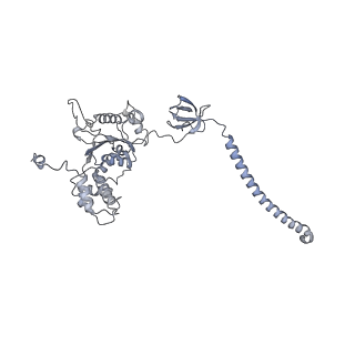 32282_7w3j_C_v1-2
Structure of USP14-bound human 26S proteasome in substrate-inhibited state SC_USP14