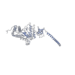 32282_7w3j_D_v1-2
Structure of USP14-bound human 26S proteasome in substrate-inhibited state SC_USP14