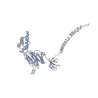 32282_7w3j_E_v1-2
Structure of USP14-bound human 26S proteasome in substrate-inhibited state SC_USP14