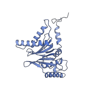 32282_7w3j_I_v1-2
Structure of USP14-bound human 26S proteasome in substrate-inhibited state SC_USP14