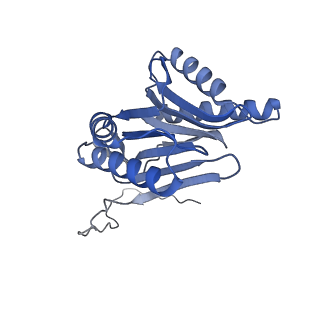 32282_7w3j_O_v1-2
Structure of USP14-bound human 26S proteasome in substrate-inhibited state SC_USP14