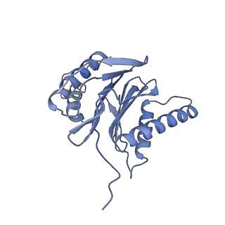 32282_7w3j_S_v1-2
Structure of USP14-bound human 26S proteasome in substrate-inhibited state SC_USP14