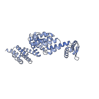 32282_7w3j_X_v1-2
Structure of USP14-bound human 26S proteasome in substrate-inhibited state SC_USP14