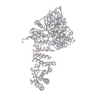 32282_7w3j_f_v1-2
Structure of USP14-bound human 26S proteasome in substrate-inhibited state SC_USP14