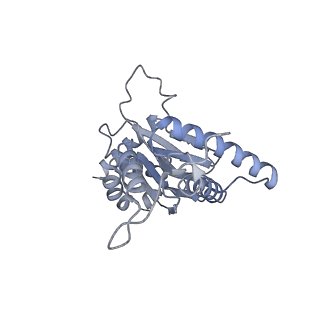 32282_7w3j_j_v1-2
Structure of USP14-bound human 26S proteasome in substrate-inhibited state SC_USP14