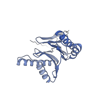 32282_7w3j_o_v1-2
Structure of USP14-bound human 26S proteasome in substrate-inhibited state SC_USP14
