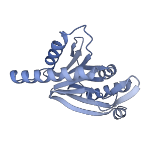 32282_7w3j_r_v1-2
Structure of USP14-bound human 26S proteasome in substrate-inhibited state SC_USP14