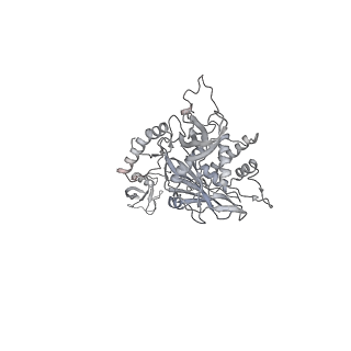 32282_7w3j_x_v1-2
Structure of USP14-bound human 26S proteasome in substrate-inhibited state SC_USP14