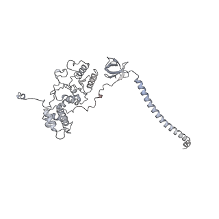 32283_7w3k_C_v1-2
Structure of USP14-bound human 26S proteasome in substrate-inhibited state SD4_USP14