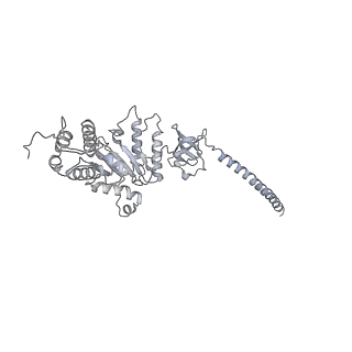 32283_7w3k_D_v1-2
Structure of USP14-bound human 26S proteasome in substrate-inhibited state SD4_USP14