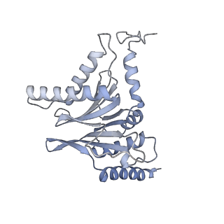 32283_7w3k_I_v1-2
Structure of USP14-bound human 26S proteasome in substrate-inhibited state SD4_USP14