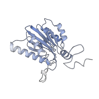 32283_7w3k_K_v1-2
Structure of USP14-bound human 26S proteasome in substrate-inhibited state SD4_USP14
