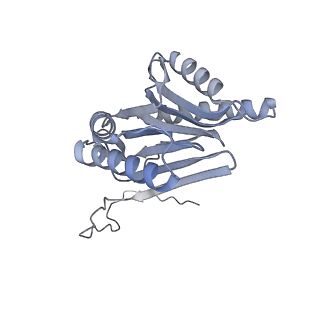 32283_7w3k_O_v1-2
Structure of USP14-bound human 26S proteasome in substrate-inhibited state SD4_USP14