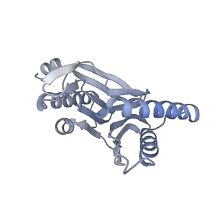 32283_7w3k_R_v1-2
Structure of USP14-bound human 26S proteasome in substrate-inhibited state SD4_USP14