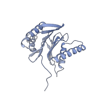 32283_7w3k_S_v1-2
Structure of USP14-bound human 26S proteasome in substrate-inhibited state SD4_USP14
