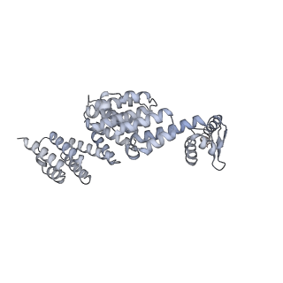 32283_7w3k_X_v1-2
Structure of USP14-bound human 26S proteasome in substrate-inhibited state SD4_USP14