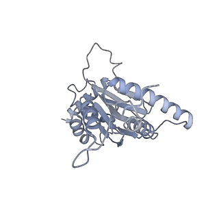 32283_7w3k_j_v1-2
Structure of USP14-bound human 26S proteasome in substrate-inhibited state SD4_USP14