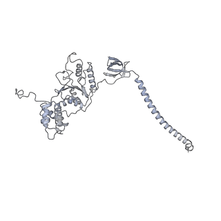 32284_7w3m_C_v1-1
Structure of USP14-bound human 26S proteasome in substrate-inhibited state SD5_USP14