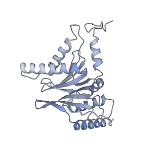 32284_7w3m_I_v1-1
Structure of USP14-bound human 26S proteasome in substrate-inhibited state SD5_USP14