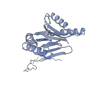 32284_7w3m_O_v1-1
Structure of USP14-bound human 26S proteasome in substrate-inhibited state SD5_USP14
