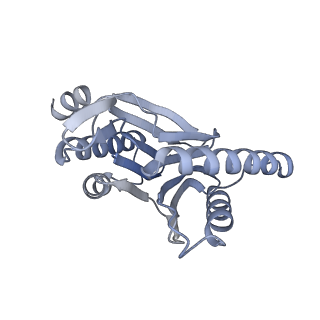 32284_7w3m_R_v1-1
Structure of USP14-bound human 26S proteasome in substrate-inhibited state SD5_USP14