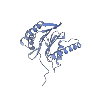 32284_7w3m_S_v1-1
Structure of USP14-bound human 26S proteasome in substrate-inhibited state SD5_USP14