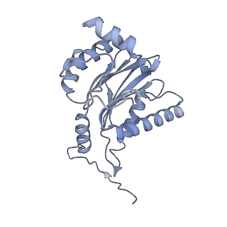 32284_7w3m_h_v1-1
Structure of USP14-bound human 26S proteasome in substrate-inhibited state SD5_USP14