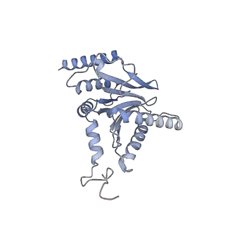 32284_7w3m_i_v1-1
Structure of USP14-bound human 26S proteasome in substrate-inhibited state SD5_USP14