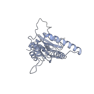 32284_7w3m_j_v1-1
Structure of USP14-bound human 26S proteasome in substrate-inhibited state SD5_USP14