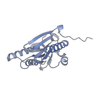 32284_7w3m_n_v1-1
Structure of USP14-bound human 26S proteasome in substrate-inhibited state SD5_USP14