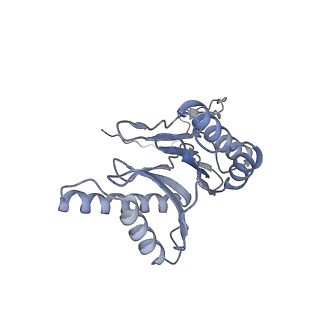 32284_7w3m_o_v1-1
Structure of USP14-bound human 26S proteasome in substrate-inhibited state SD5_USP14