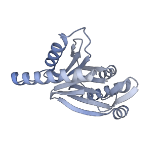 32284_7w3m_r_v1-1
Structure of USP14-bound human 26S proteasome in substrate-inhibited state SD5_USP14