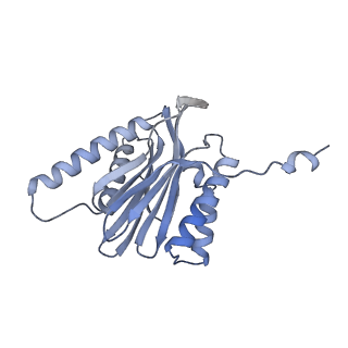 32284_7w3m_t_v1-1
Structure of USP14-bound human 26S proteasome in substrate-inhibited state SD5_USP14