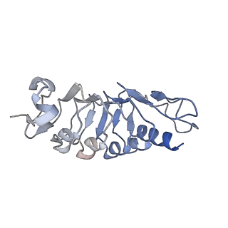 32293_7w3t_B_v1-1
Cryo-EM structure of plant receptor like kinase NbBAK1 in RXEG1-BAK1-XEG1 complex
