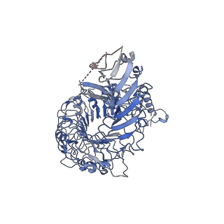 32294_7w3v_C_v1-1
Plant receptor like protein RXEG1 in complex with xyloglucanase XEG1