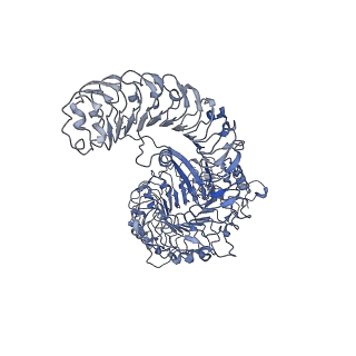 32295_7w3x_C_v1-1
Cryo-EM structure of plant receptor like protein RXEG1