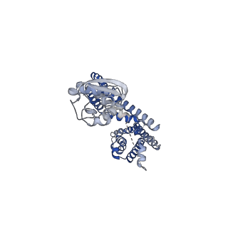 32296_7w3y_B_v1-0
CryoEM structure of human Kv4.3