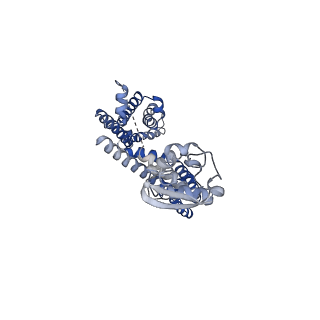 32296_7w3y_D_v1-0
CryoEM structure of human Kv4.3