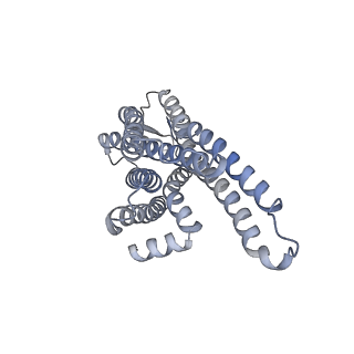 32297_7w3z_A_v1-0
Cryo-EM Structure of Human Gastrin Releasing Peptide Receptor in complex with the agonist Gastrin Releasing Peptide and Gq heterotrimers