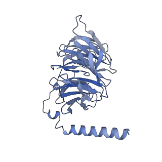 32297_7w3z_C_v1-0
Cryo-EM Structure of Human Gastrin Releasing Peptide Receptor in complex with the agonist Gastrin Releasing Peptide and Gq heterotrimers
