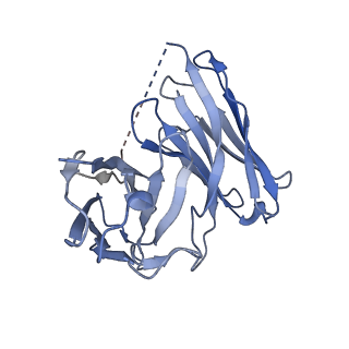 32297_7w3z_H_v1-0
Cryo-EM Structure of Human Gastrin Releasing Peptide Receptor in complex with the agonist Gastrin Releasing Peptide and Gq heterotrimers