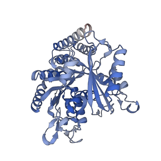 8756_5w3h_A_v1-4
Yeast microtubule stabilized with epothilone