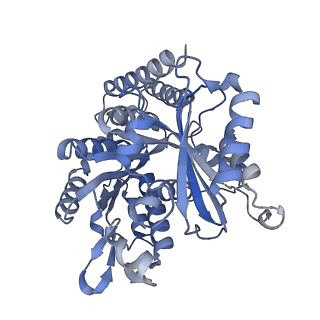 8756_5w3h_B_v1-4
Yeast microtubule stabilized with epothilone