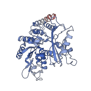 8757_5w3j_A_v1-7
Yeast microtubule stabilized with Taxol assembled from mutated tubulin